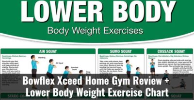 Bowflex Xceed Home Gym Review Lower Body Weight Exercise Chart